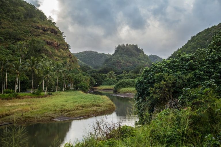 Exploring the Spiritual History of Waimea Valley - ʻAlohilani